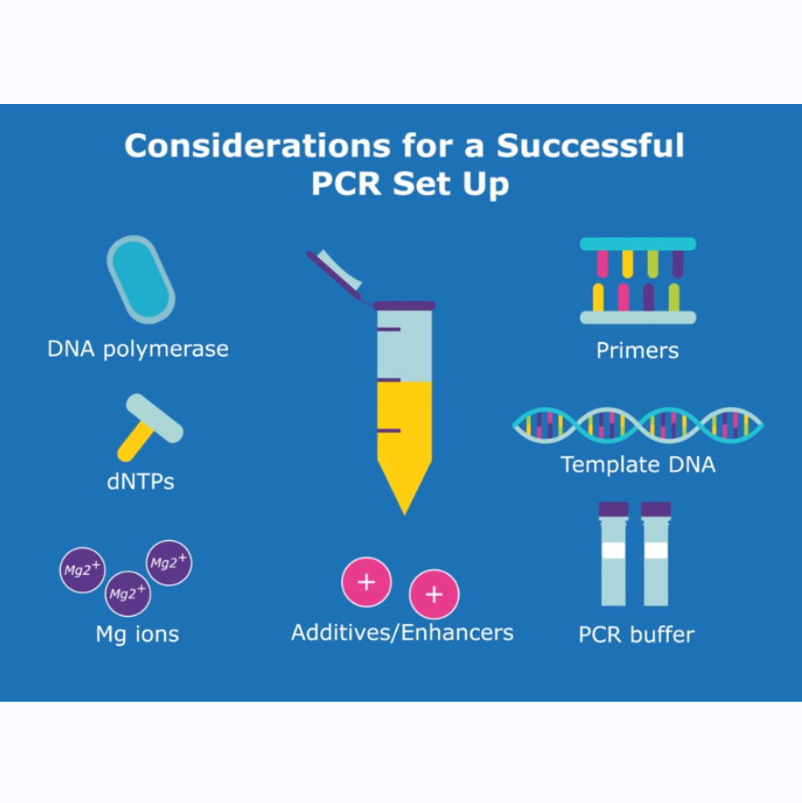 PrimeScript™ RT reagent Kit with gDNA Eraser (Perfect Real Time)  货号RR047A