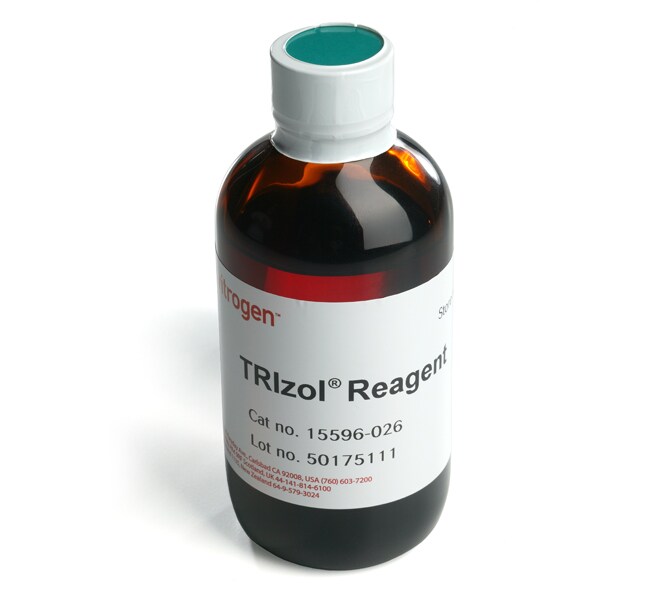 TRIzol™ 试剂 货号15596026