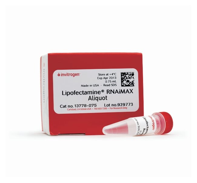 Lipofectamine™ RNAiMAX 转染试剂 货号13778075