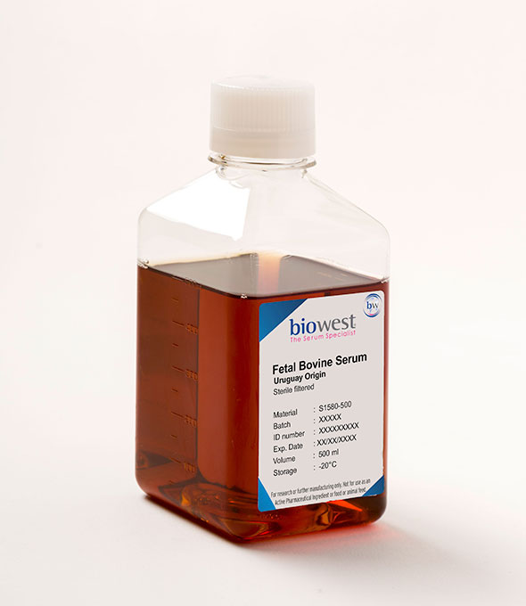 Fetal Bovine Serum (FBS) Uruguay – S1580 货号S1580