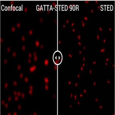 GattaQuant - GATTA-STED NANORULER