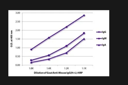 山羊抗小鼠 IgG（H+L）-HRP多克隆