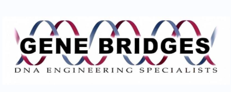 维百奥生物代理Gene Bridges品牌