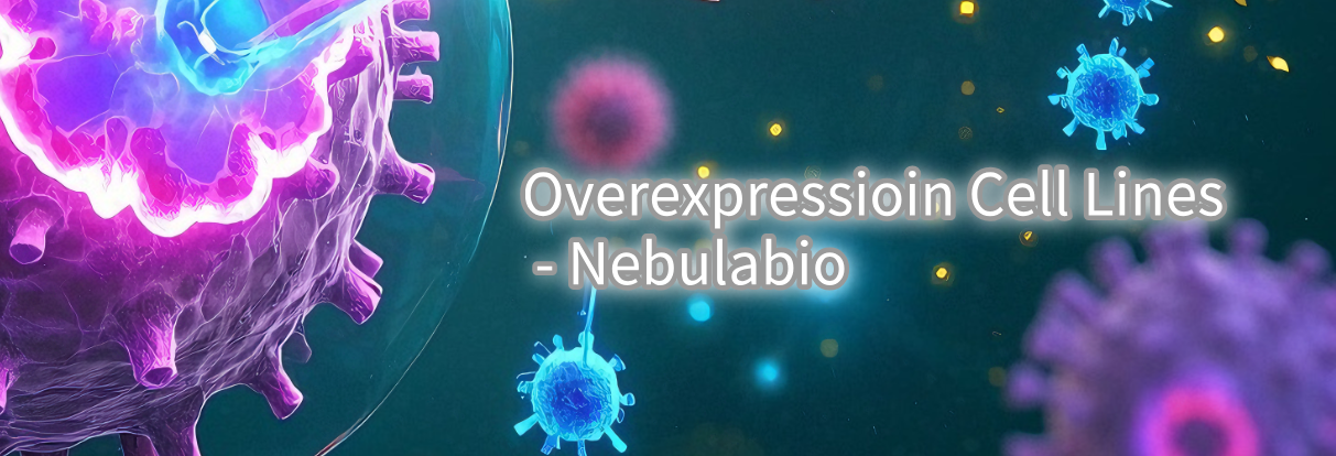 Overexpression Cell Lines - Nebulabio