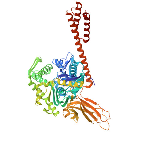 重组小鼠HSPA5蛋白 | Recombinant Mouse HSPA5, 1-654aa, His-tag