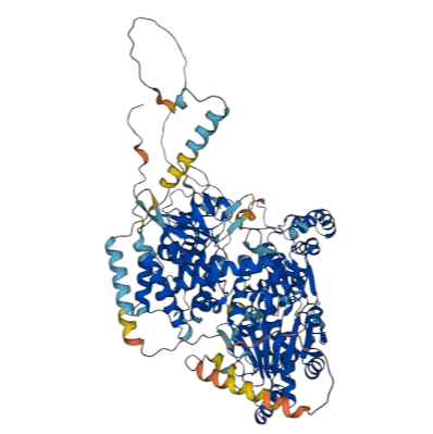重组人DHX36蛋白 | Recombinant Human DHX36, 136-988aa, His-tag, GST-tag