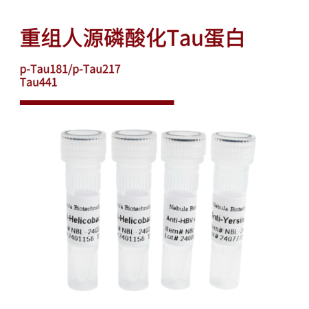 重组人源磷酸化Tau蛋白