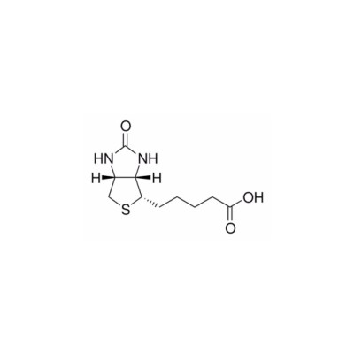 生物素 货号B4501.jpg