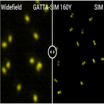 GATTA-SIM NANORULER.jpg