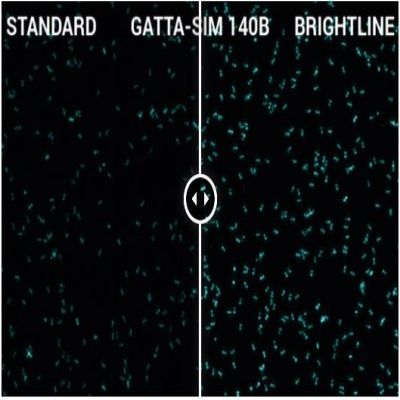 GATTA-SIM NANORULER-1.jpg