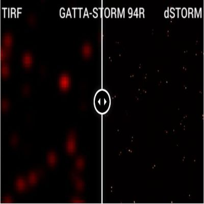 GATTA-STORM NANORULER.jpg