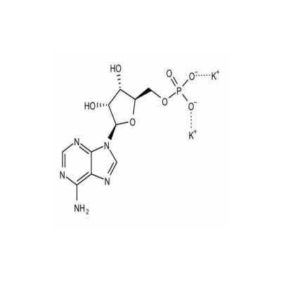 Sigma - P9403 - poly(A).jpg