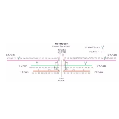 Sigma - F8630 - 纤维蛋白原 来源于牛血浆.jpg