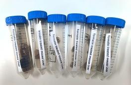 生物组织(1).jpg