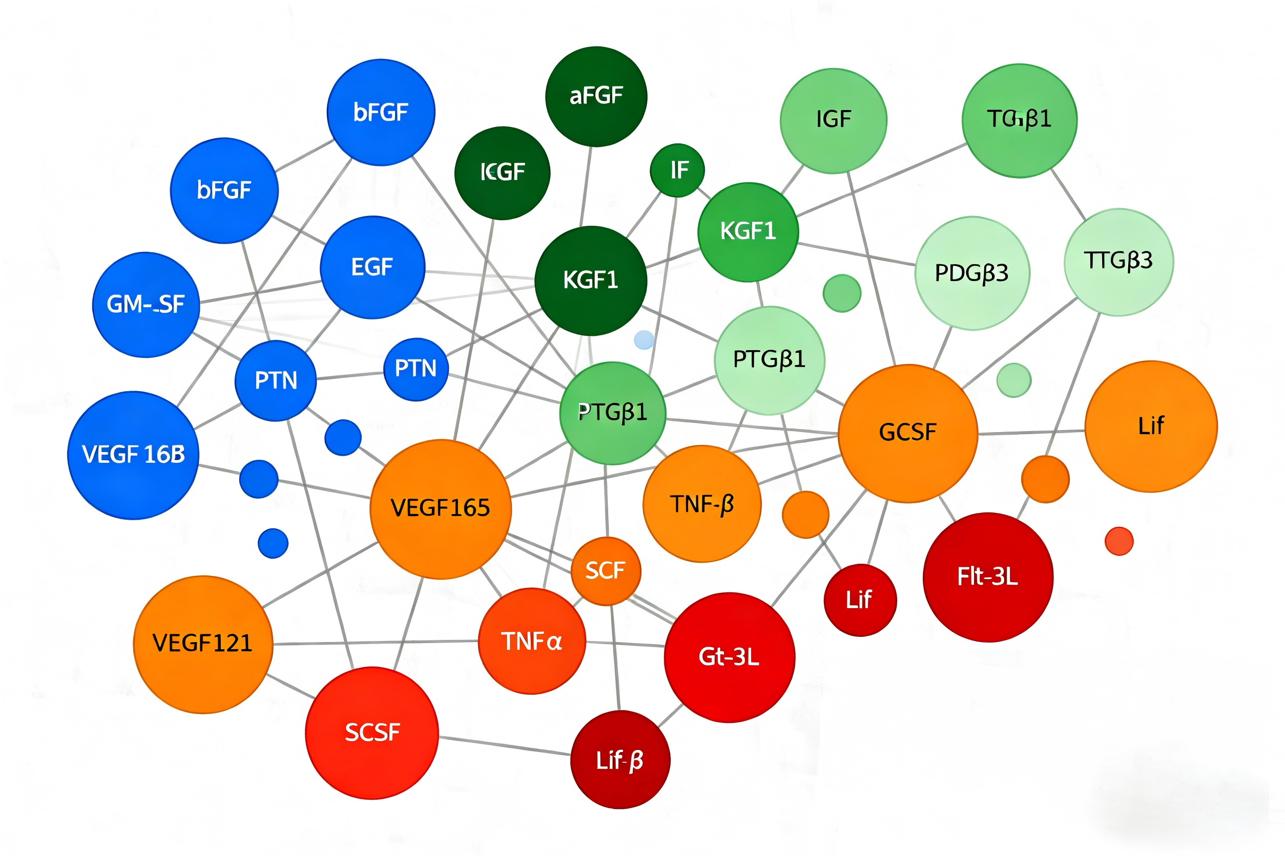 生成因子网络关系图 (3)(1).png