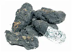 693a352b68a88.png 8.png