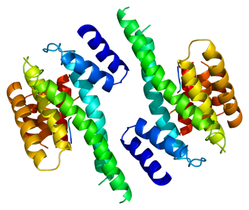 Protein_YWHAZ_PDB_1a37.png