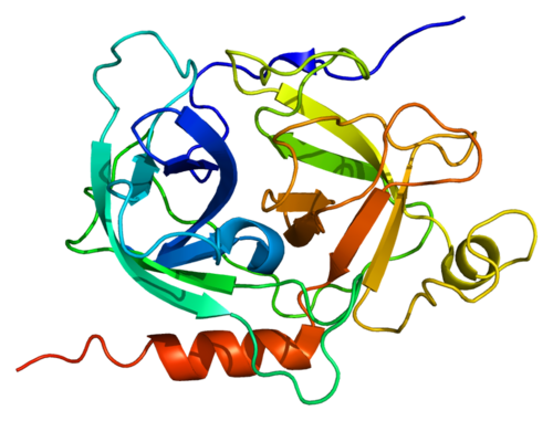 Protein_GZMK_PDB_1mza.png