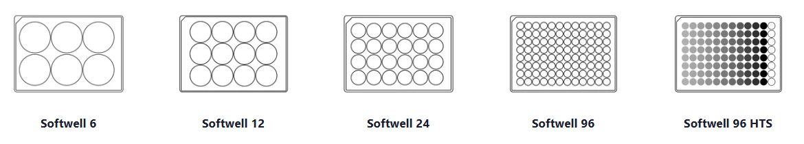 6a2162484ddcb.png ScreenShot_2026-06-04_162609_442.png