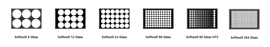 Matrigen Softwell® G（Glass Bottom）玻璃底细胞培养板