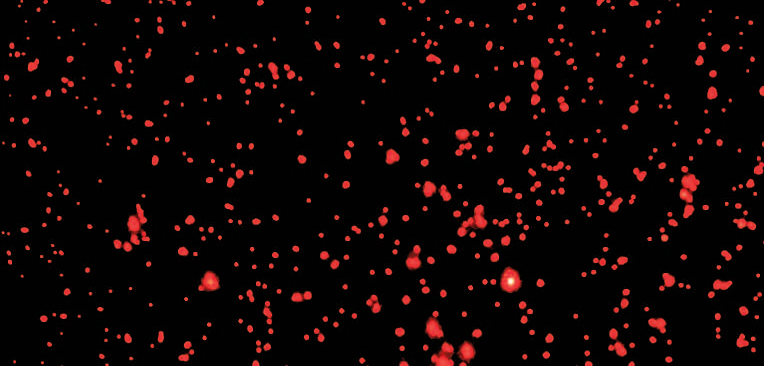 6a21823532133.png 834bd90c-4fde-485f-af96-7a33672471e5.png
