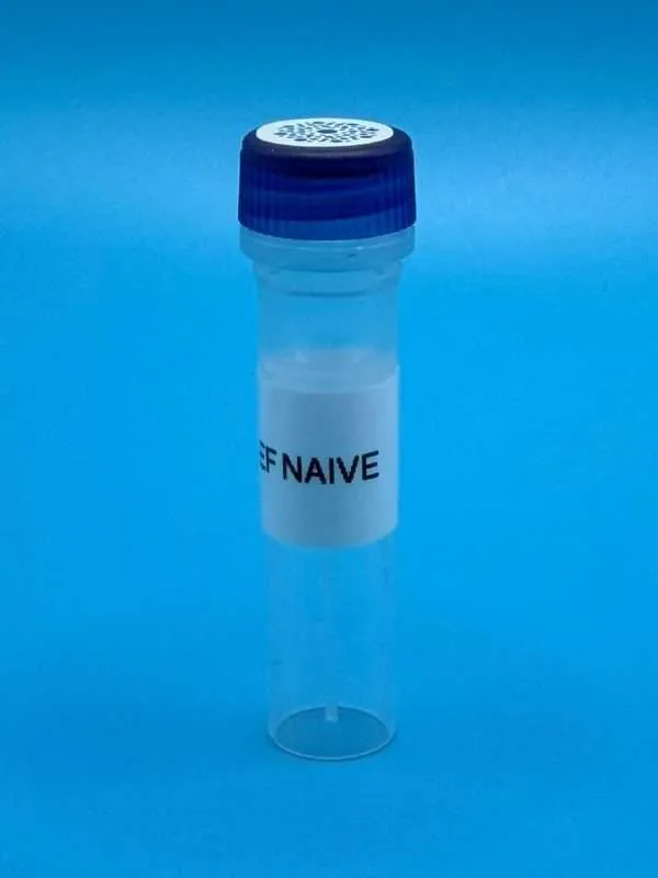 Vesi-Ref Naive