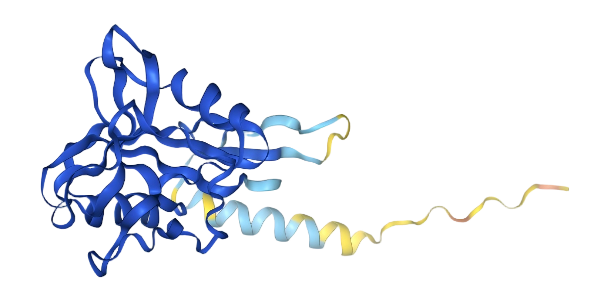 BDCA2