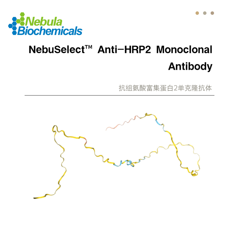 HRP2 (Histone-Responsive Gene Paralog Protein 2；组氨酸富集蛋白2)抗体