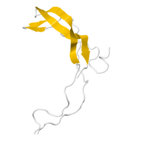 重组人Sclerostin蛋白 | Recombinant Human Sclerostin (SOST), 25-213aa, His-tag