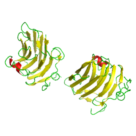 重组人Agrin (AGRN)蛋白 | Recombinant Agrin (AGRN), 1856-2045aa, His-tag