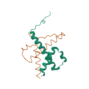 重组人HES1蛋白 | Recombinant Human HES1, 21-251aa, His-tag