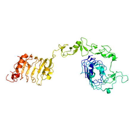 重组人IGF1R蛋白 | Recombinant Human IGF1R, 31-932aa, His-tag