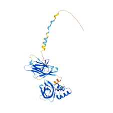 重组小鼠Meteorin-like protein, Subfatin, Metrnl蛋白