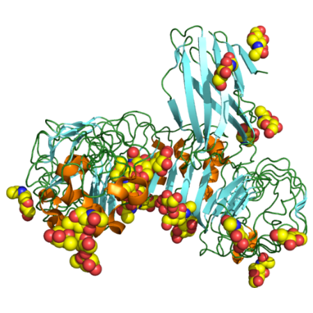 重组小鼠TLR4蛋白 | Recombinant Mouse TLR4 Protein, His tag