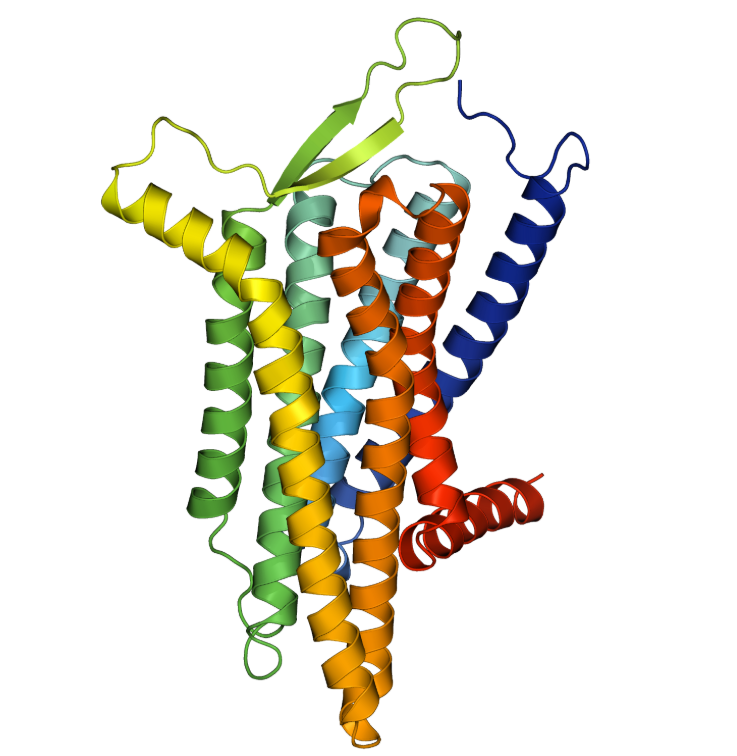 重组人GPR37蛋白 | Recombinant Human GPR37 Protein, 401-443aa, His-tag, GST-Tag