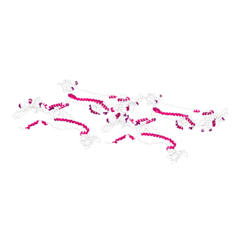 重组HSV2 Glycoprotein B蛋白 | HSV 2 (strain 333) Glycoprotein B Protein