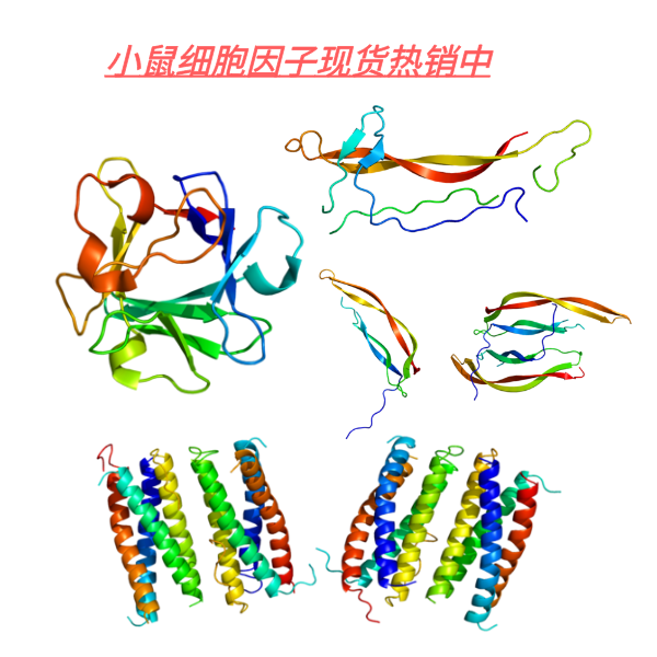 小鼠细胞因子现货热销中