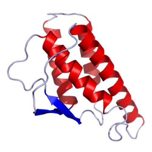 重组猪IL-4蛋白 | Recombinant Porcine IL-4, 25-133 aa, His-tag