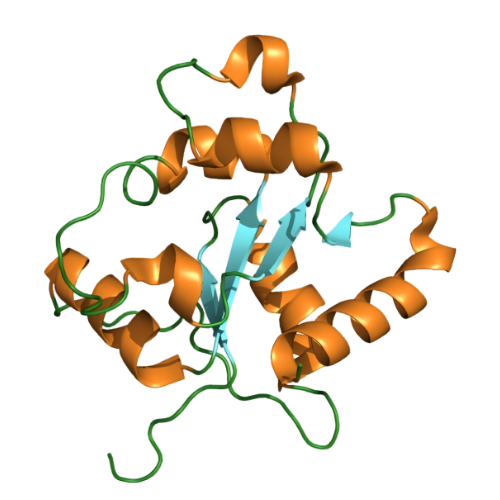 重组小鼠TLR2蛋白 | Recombinant Mouse TLR2, 25-250aa, His-tag