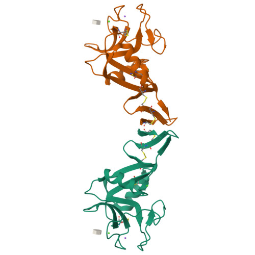 重组小鼠Dectin-2蛋白 | Recombinant Mouse Dectin-2, 44-209aa, His-tag