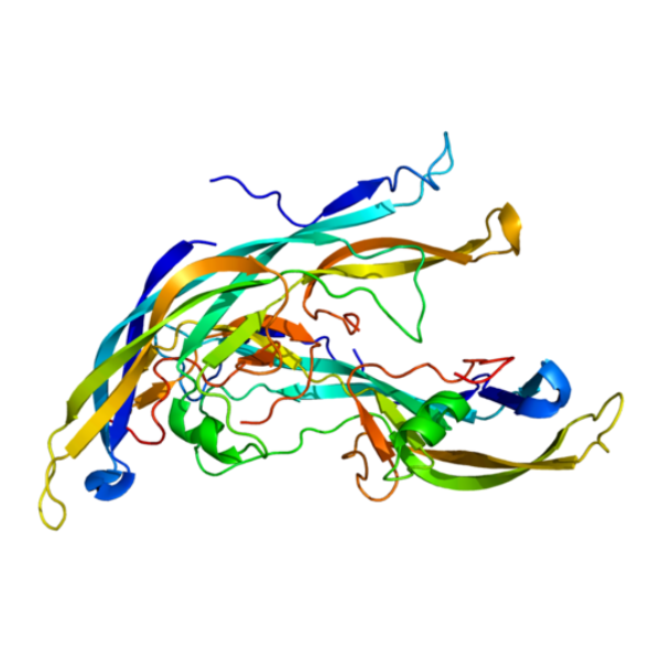 重组人FSH蛋白 | Recombinant Human FSH, 25-1116aa, His-tag, GST-tag