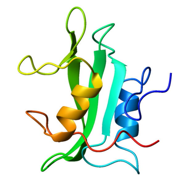 重组人LCK蛋白 | Human LCK Protein, 1-509aa, His-tag