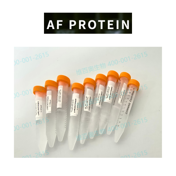 AF Protein抗冻蛋白 | Antifreeze Protein Type I / III