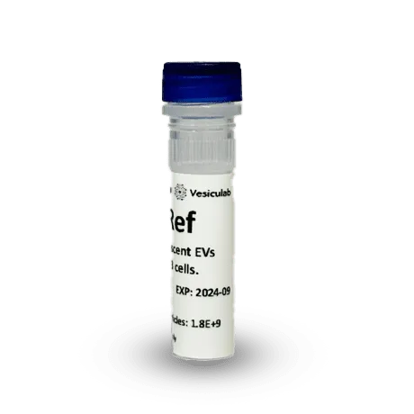 vesiculab Vesi-Ref CD63-GFP | 荧光细胞外囊泡标准品