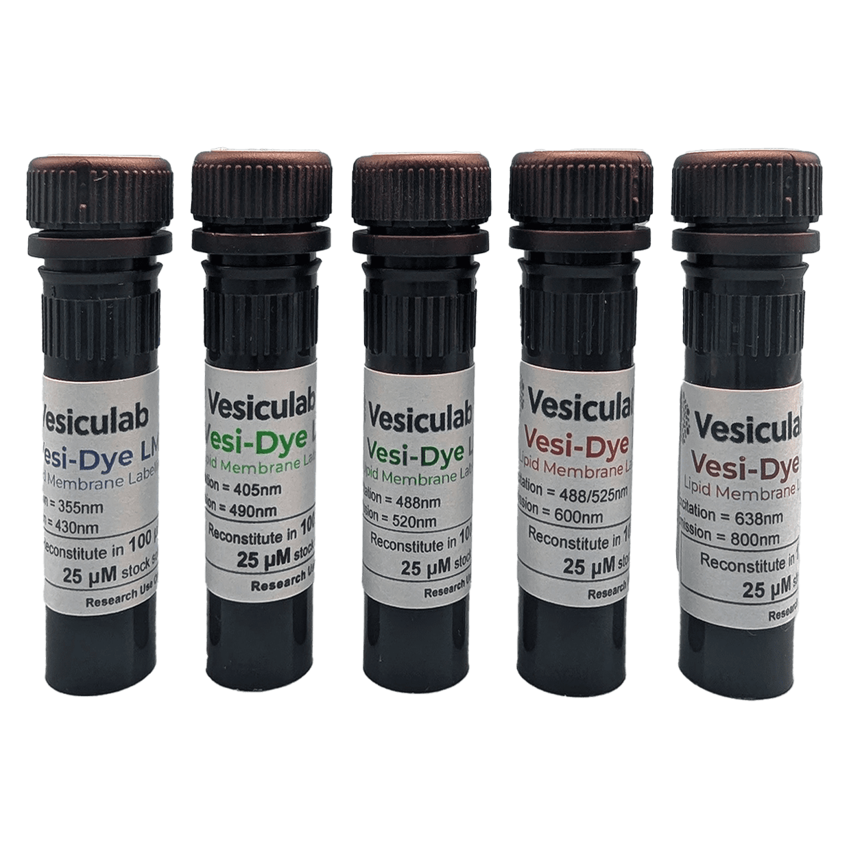 vesiculab Vesi-Dye LMB | 亲脂性嵌入式荧光探针