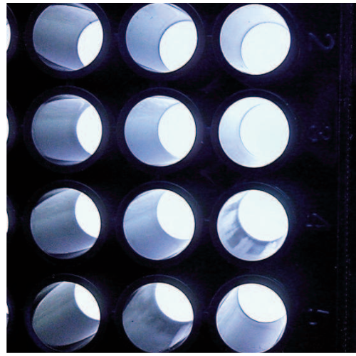 Matrigen Softwell® G（Glass Bottom）玻璃底细胞培养板