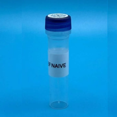 Vesi-Ref Naive 单剂量细胞外囊泡参考物质
