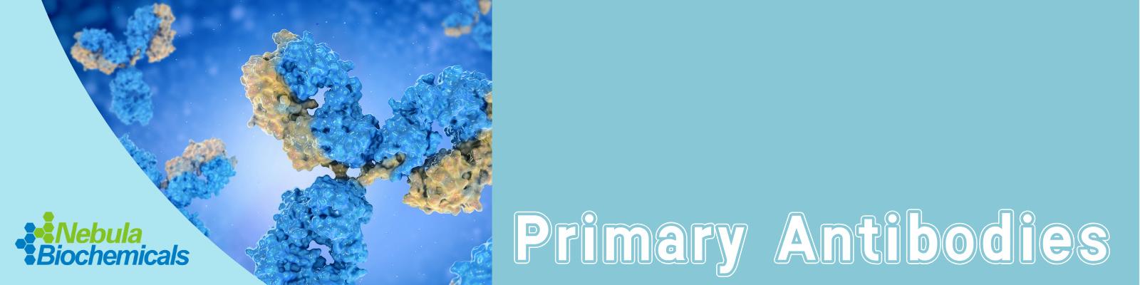 1766731896777486.jpg 一抗.jpg