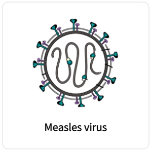 Measles virus