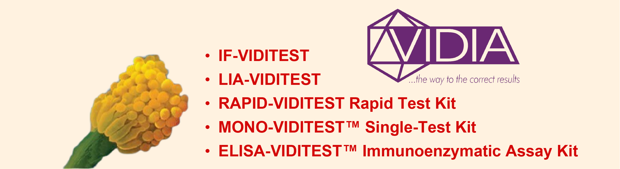 VIDIA